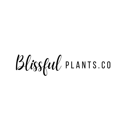 Blissful Resources Inc.